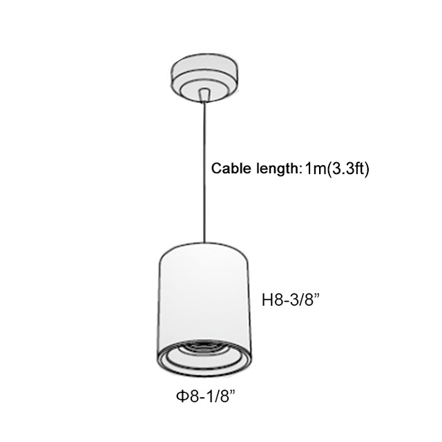 Master D IP65 ETL Pendant White+Black